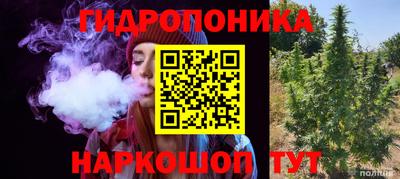 амф Чебоксары